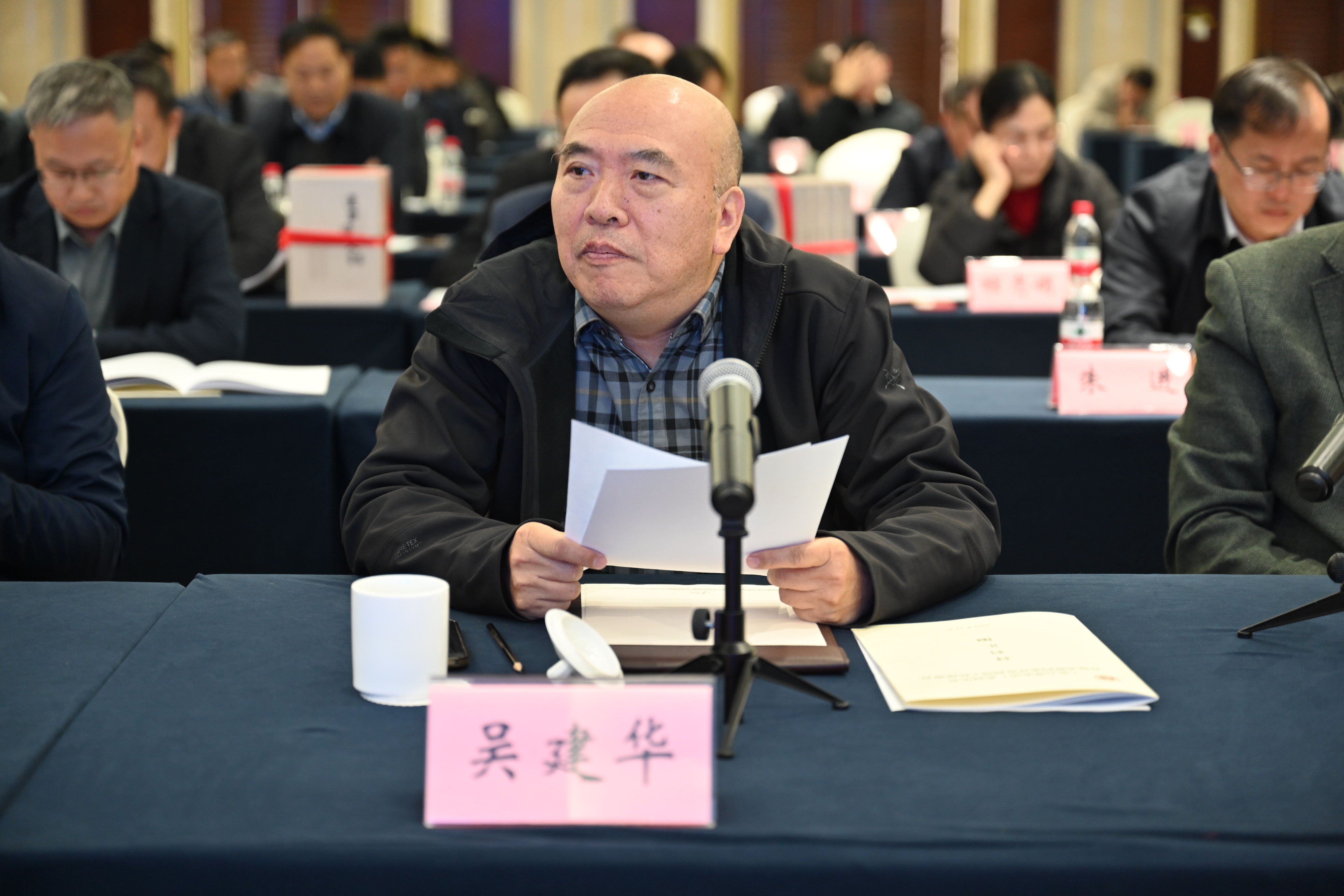 南京大学信息管理学院副院长、教授吴建华发言.JPG